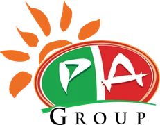 PA Group